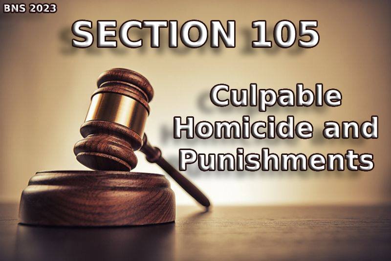 Culpable homicide not amounting to murder
