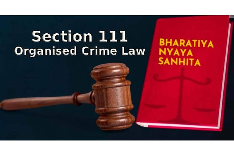 section 111 Organised Crime Law