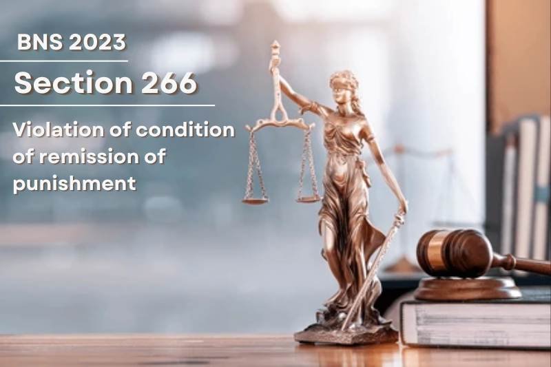 Violation-of-remission-condition-under-Bharatiya-Nyaya-Sanhita-Section-266-BNS