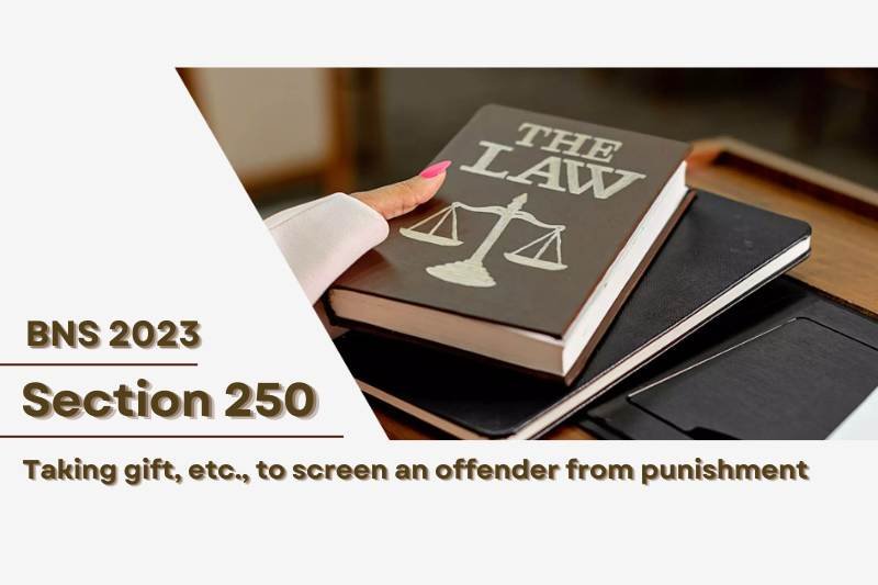 bns-section-250-taking-gift-screen-offender-punishment