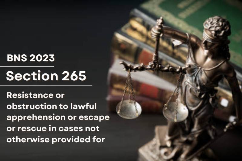 bns-section-265-resistance-obstruction-lawful-apprehension