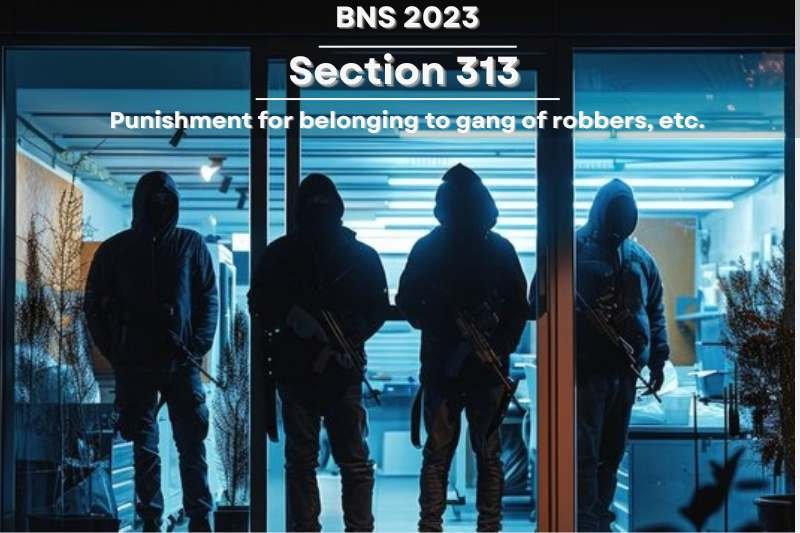 BNS-Section-313-gang-of-robbers-law-illustration