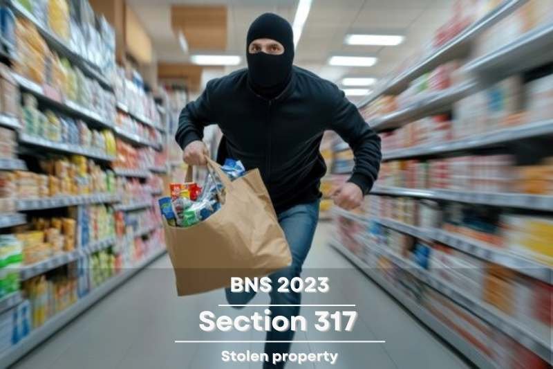 Stolen-property-legal-explanation-BNS-Section-317